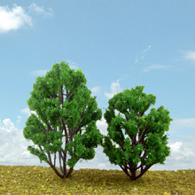 model trees